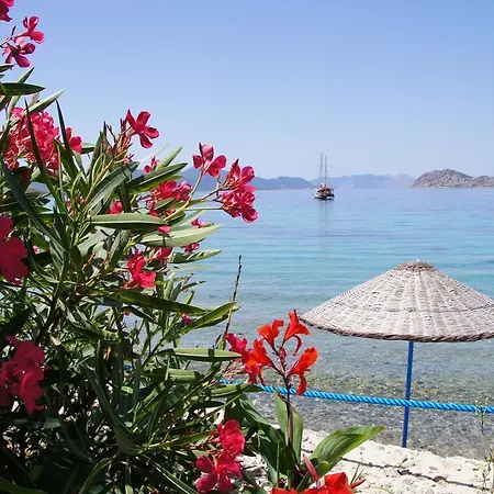 Mavi Akvaryum Pension Hotel Sogut (Aegean)