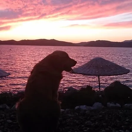 Mavi Akvaryum Pension