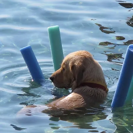 فندق Mavi Akvaryum Pension 3*