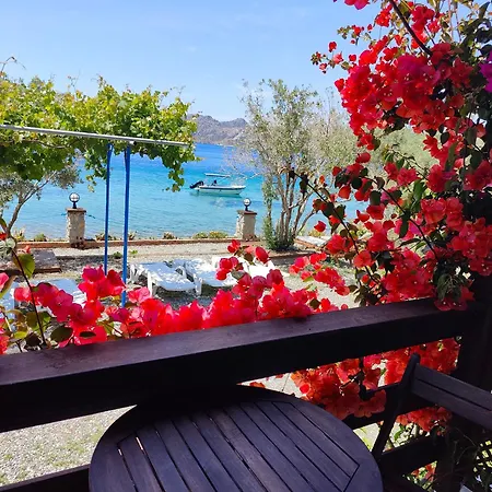 بيت ضيافة Mavi Akvaryum سوغوت