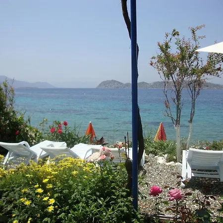 Mavi Akvaryum Pension فندق