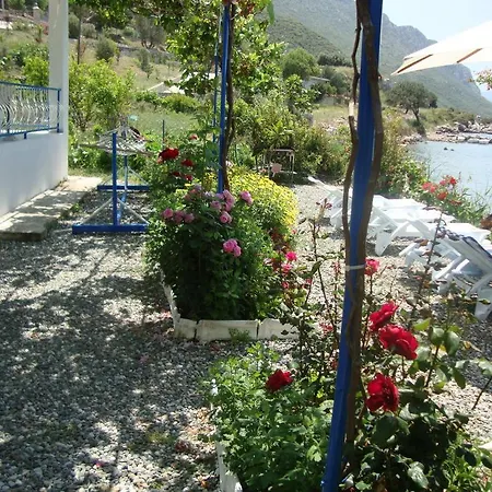 Mavi Akvaryum Pension 3*