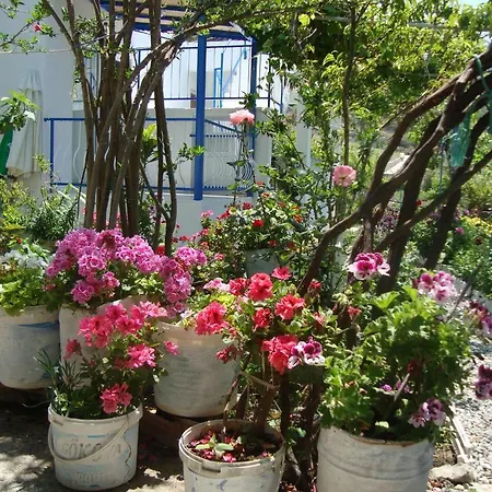 Mavi Akvaryum Pension