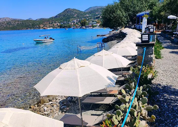 Mavi Akvaryum بيت ضيافة 3*