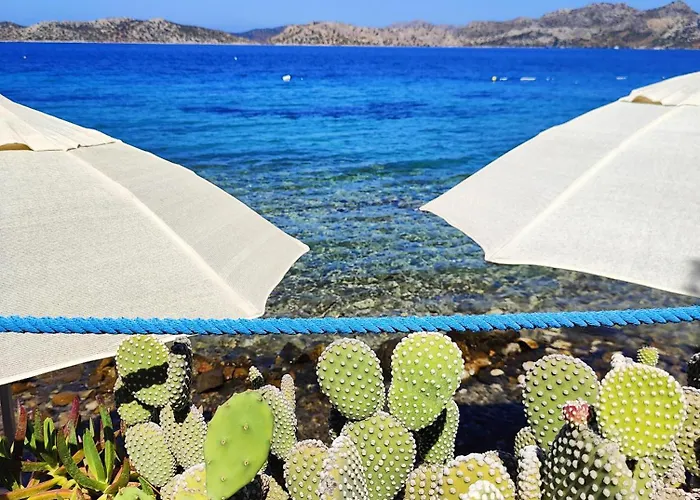 بيت ضيافة Mavi Akvaryum سوغوت