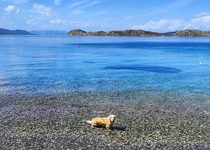 Mavi Akvaryum بيت ضيافة سوغوت