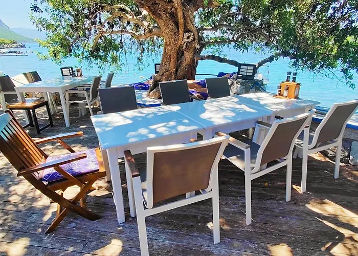 بيت ضيافة Mavi Akvaryum