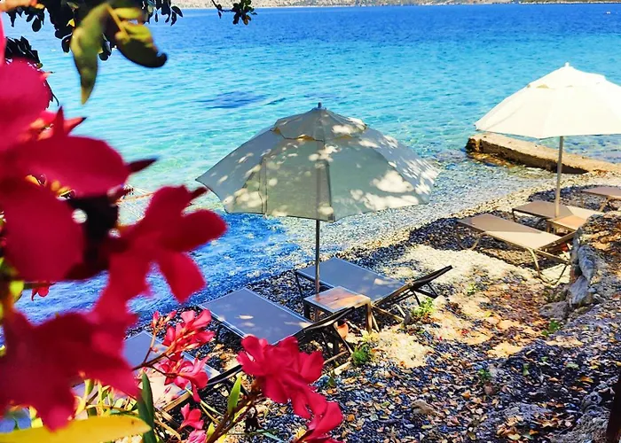 بيت ضيافة Mavi Akvaryum 3*