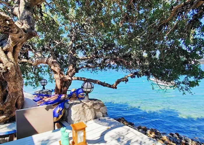 Mavi Akvaryum سوغوت