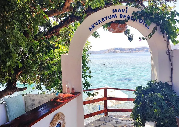 بيت ضيافة Mavi Akvaryum