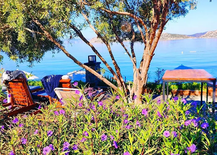 Mavi Akvaryum 3* سوغوت