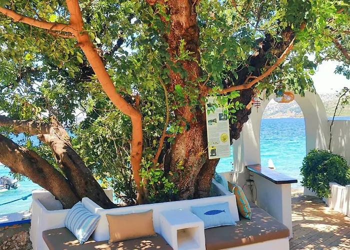 Mavi Akvaryum بيت ضيافة