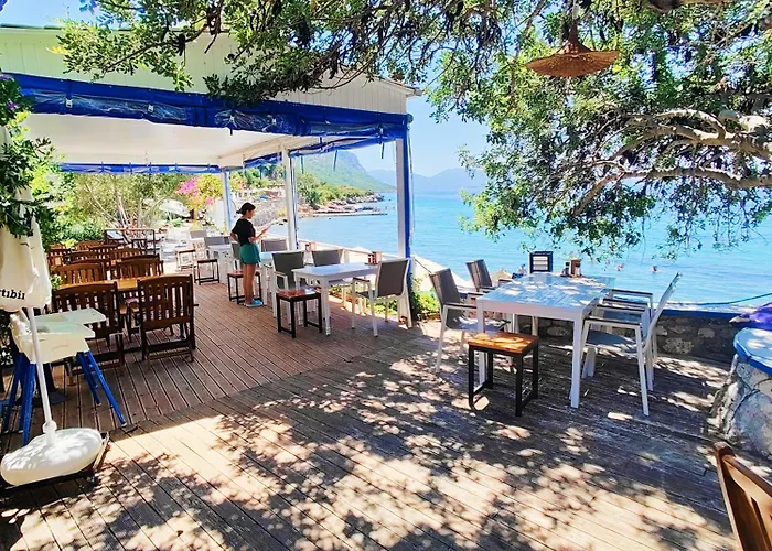 بيت ضيافة Mavi Akvaryum