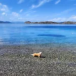 Mavi Akvaryum Casa de hóspedes Sogut (Aegean)