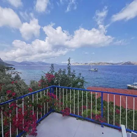 Mavi Akvaryum Pension Guest house Sogut (Aegean)