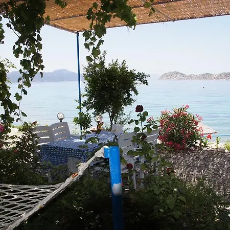 Mavi Akvaryum Pension