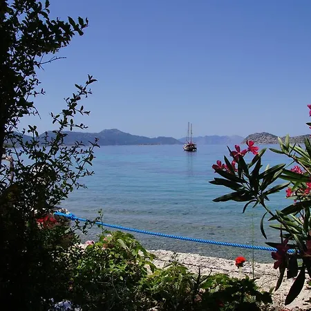 Hotel Mavi Akvaryum Pension Sogut (Aegean)