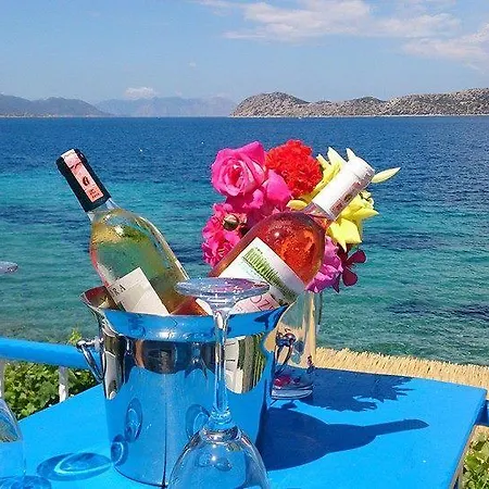 Guest house Mavi Akvaryum Pension