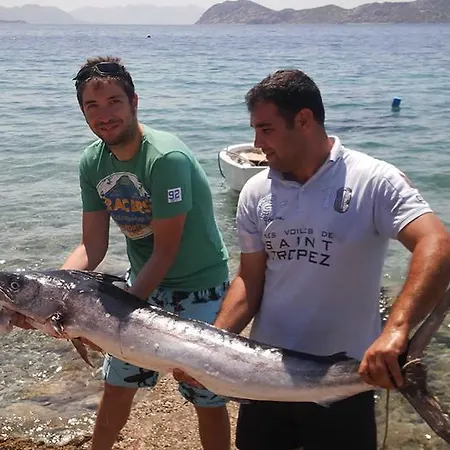 ホテル Mavi Akvaryum Pension