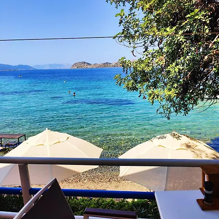 Гостевой дом Mavi Akvaryum Sogut (Aegean)