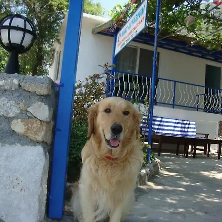 Mavi Akvaryum Pension * Sogut (Aegean)
