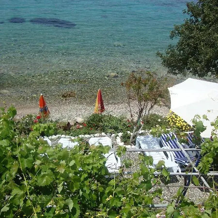 Mavi Akvaryum Pension *