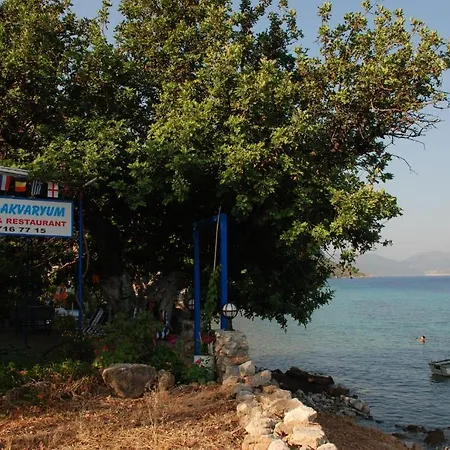 Guest house Mavi Akvaryum Pension Sogut (Aegean)
