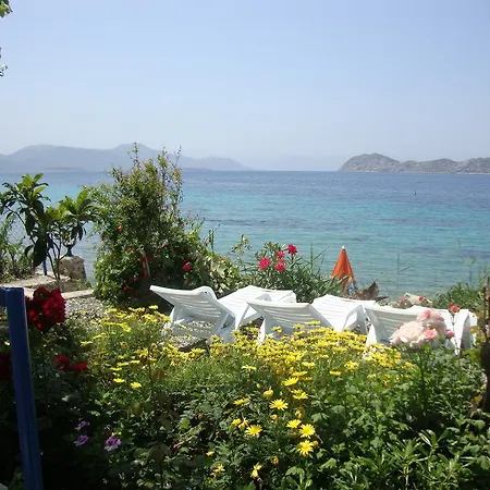 Mavi Akvaryum Pension *