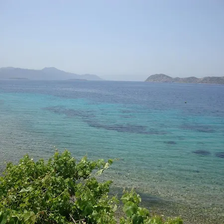 Mavi Akvaryum Pension