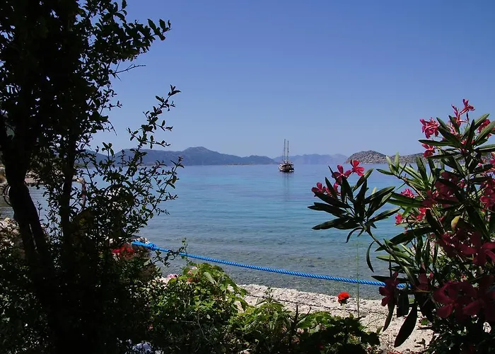 Casa de hóspedes Mavi Akvaryum Pension Sogut (Aegean)