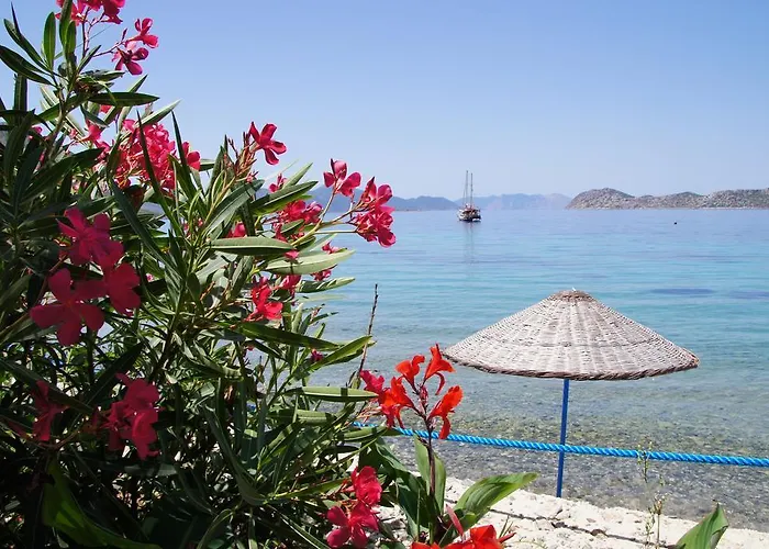 Mavi Akvaryum Pension Casa de hóspedes Sogut (Aegean)