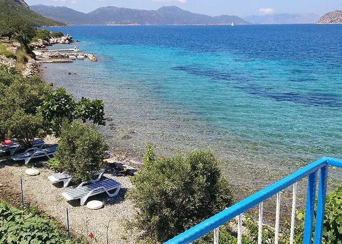 Mavi Akvaryum Pension Sogut (Aegean)