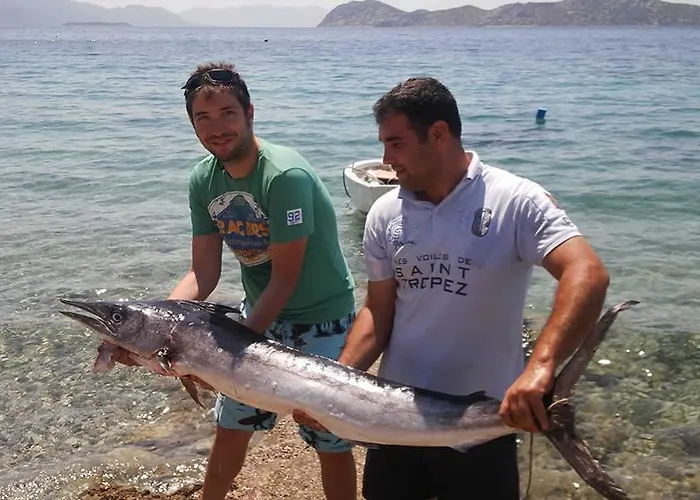 Casa de hóspedes Mavi Akvaryum Pension