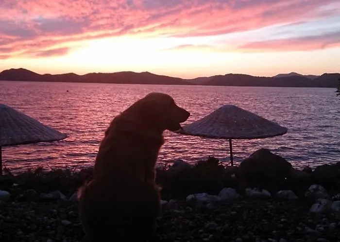 Mavi Akvaryum Pension