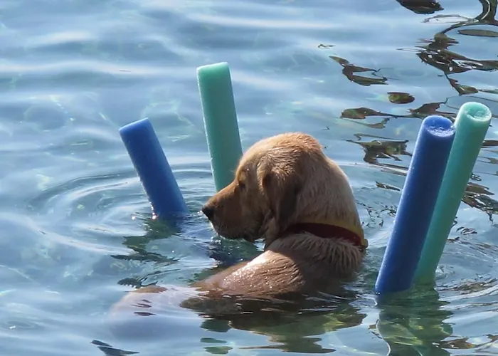 Casa de hóspedes Mavi Akvaryum Pension 3*