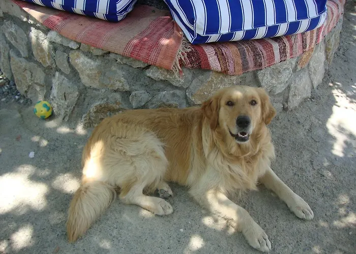 Mavi Akvaryum Pension 3*