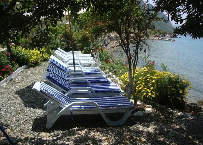 Mavi Akvaryum Pension 3*