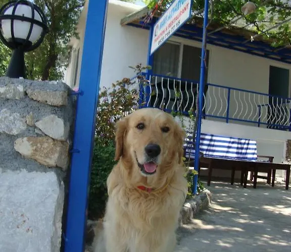 Mavi Akvaryum Pension 3* Sogut (Aegean)