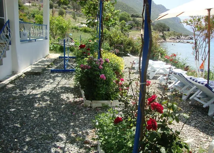 Mavi Akvaryum Pension 3*