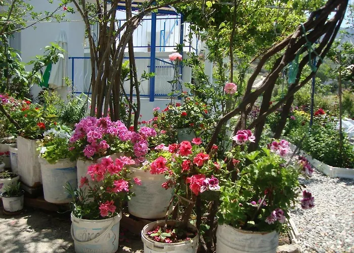 Mavi Akvaryum Pension