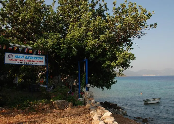 Casa de hóspedes Mavi Akvaryum Pension Sogut (Aegean)