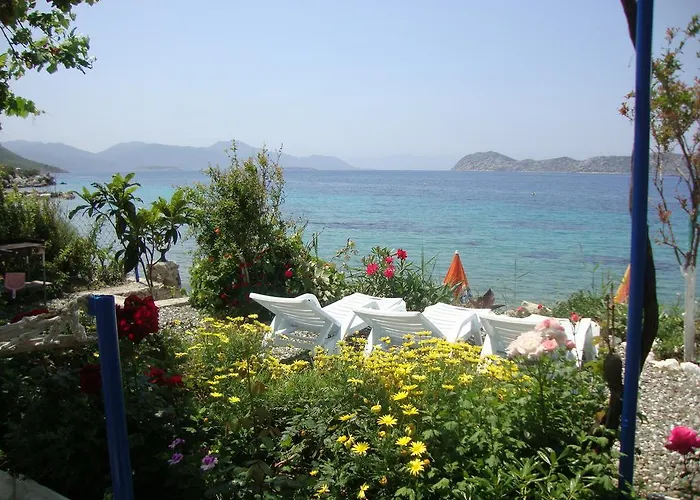 Mavi Akvaryum Pension 3*