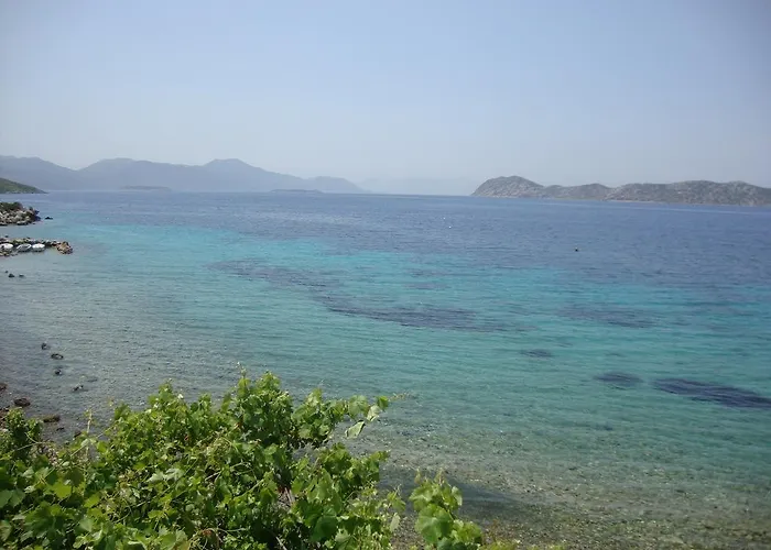 Mavi Akvaryum Pension